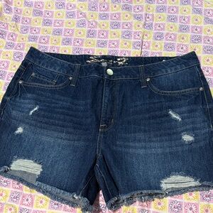 Seven 7 distressed weekend shorts 14